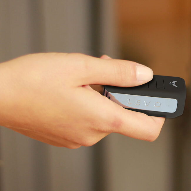 Levo Smart Key Holder